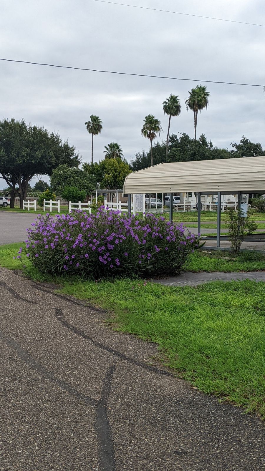 Mcallen RV park camp grounds