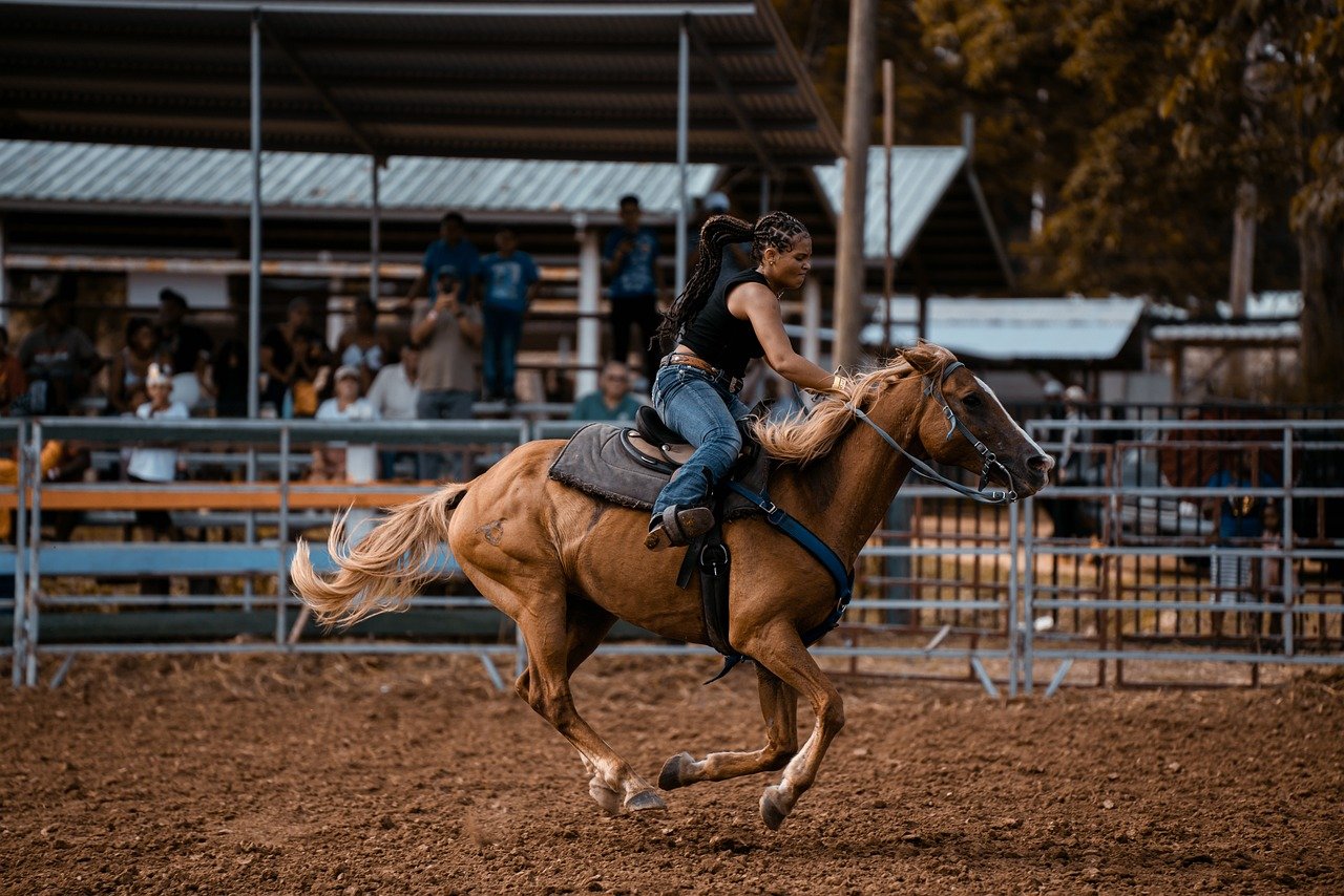 horse, rider, rodeo, cowboy, show, agriculture, animal, livestock, nature, horse, rodeo, rodeo, rodeo, rodeo near RV camp ground