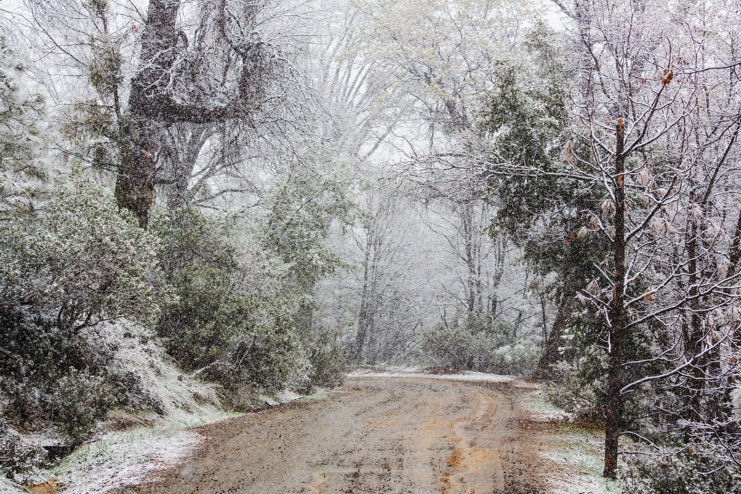 winter-weather-in-Texas